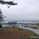 고흥농협주유소 이미지