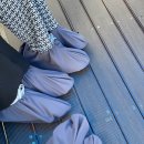 NR-5[영서로]-하-123 | 21.06.05.SAT : 춘천여행 day 1