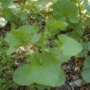 백두대간농장 이미지