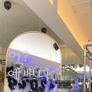 기본 필라테스&피티# 이미지