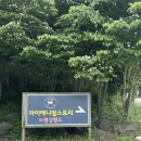 포천 아이랑 가볼만한 곳 , 마이애니멀스토리 in 평강랜드 내돈내산 먹이주기 체험