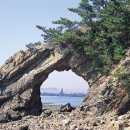 장고도7 이미지