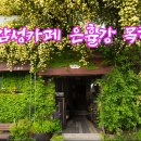 목향