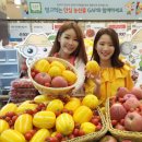 롯데마트 이미지