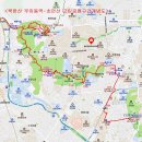 둘리쌍문공원 유아숲체험장 Daum카페