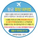 제주도항공 결항시 대처방법 안내드립니다 이미지