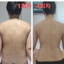 테라피바르게
