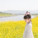 우리의 봄날 이미지