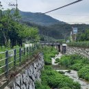 죽청대파니마을 이미지