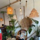 용한해변 이미지