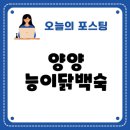 도시지원시설입구(스타벅스 건너편) | 양양 능이닭백숙집 추천과 맛집 정보 완전 정복
