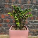 몽몽이발소 이미지