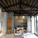 코스타리몬 이미지