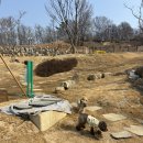 카페슈 | 파주 4000평 애견카페 방문 후기 | 슈베르몽