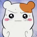 아마스에잇디자인학원 티스토리