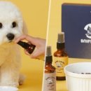 스니피드 이미지