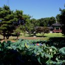 장금이 푸드 이미지