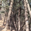 수락산길 이미지