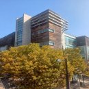 대화도서관 이미지