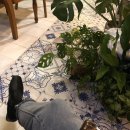 성동가가 이미지