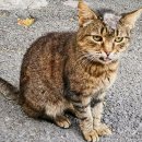 어울림공원 4 화장실 이미지