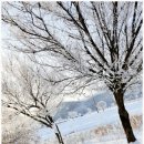 강천산 나비잠 | [순창펜션] 순창강천산나비잠펜션에 다녀온 후기