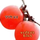 달달한하루 Daum카페