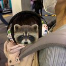 인천공항1터미널역 앞 | [돌 아기랑 태국여행 8] 대구에서 인천까지 공항철도,인천공항1터미널, sky hub 라운지 후기