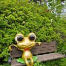 금와습지 생태공원 이미지