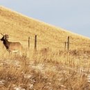 아지트지(G) 이미지