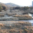 하천(갑천5) 이미지