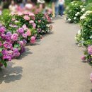 보성꽃식물원 이미지