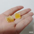 댕댕이 주전부리 이미지