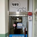 멍류장 이미지