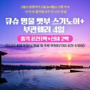 150044 티스토리