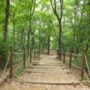 산새공원 입구 이미지