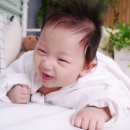 레몬테라스 이미지