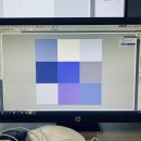 에이트인디자인랩 | 유월(이 올 동안 뭐했지 나)