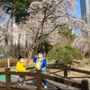 공원마을2길 22 이미지