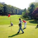 배프로골프 이미지