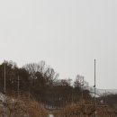 쇠똥구리 2농장 이미지