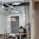 디어마이슈페너Dearmyxpanner | 정발산 애견동반카페 [펄시몬커피]