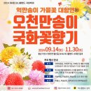 피나클랜드 이미지