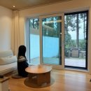 제주하뭄 이미지