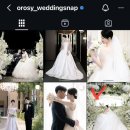 스튜디오오롯 | [공지] W05. 트리웨딩 본식스냅 - 대전오롯이스튜디오 웨딩 스냅 계약 후기