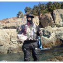 남해향촌 이미지