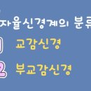 교감한의원 이미지