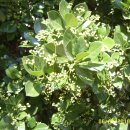 익산2공단우체국 이미지