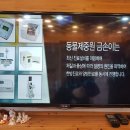 동물제중원금손이 동물병원 이미지