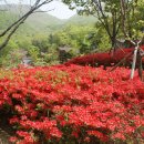 탑골산장 이미지